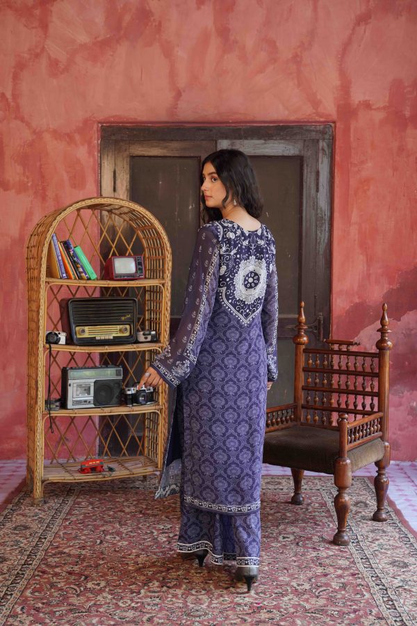 Noor Bano - Image 3
